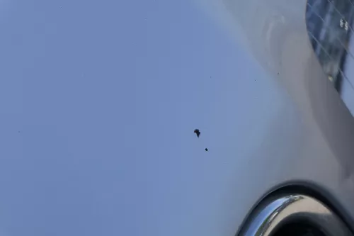 Audi A4 B6 8E Motorhaube Haube Klappe silber LY7W (184048)