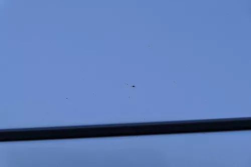 Audi A4 B6 8E Motorhaube Haube Klappe silber LY7W (184048)