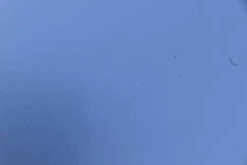 Audi A4 B6 8E Motorhaube Haube Klappe silber LY7W (184048)