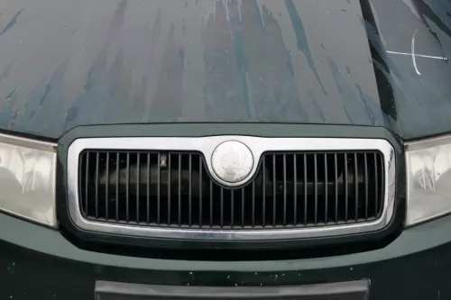 Fabia 6Y Zeichen Kühlergrill Grill Gitter 6Y0853668 grün LF8C Logo (184736)