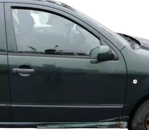 Skoda Fabia 6Y Kombi Limousine Tür vorne rechts Beifahrertür grün LCF8C (184741)