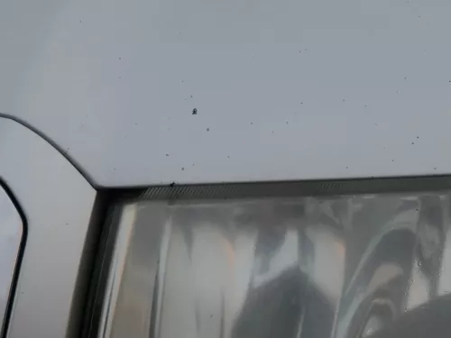 Skoda Fabia 6Y Motorhaube Klappe vorne silber LF7T vorn     (OHNEgrill!) (184846)