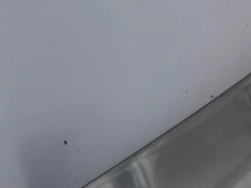 Skoda Fabia 6Y Motorhaube Klappe vorne silber LF7T vorn     (OHNEgrill!) (184846)