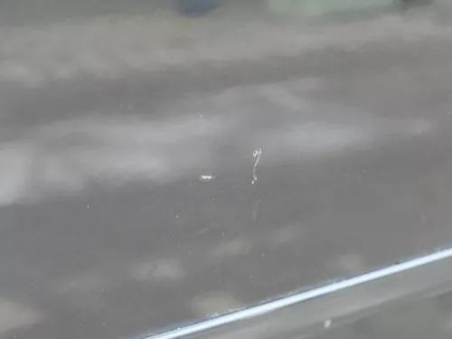 Audi A6 4B C5 Tür nur Türblatt vorne rechts Beifahrertür schwarz LZ9W (184974)