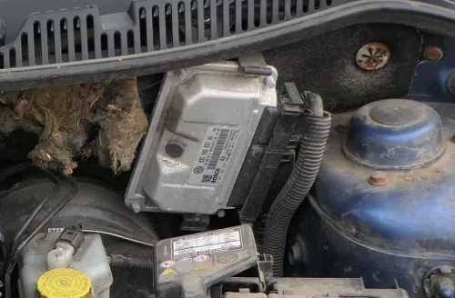 VW Polo 9N3 Ibiza Steuergerät 03C906057AG 1,6 16V BTS Motor Motorsteuergerät (185296)