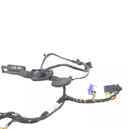 VW Golf 7 5G Kabelbaum Tür Türkabelbaum ZV vorne links 5G4971161JQ (185478)