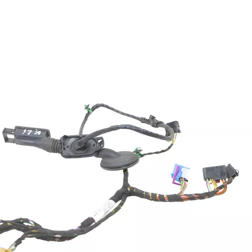 VW Golf 7 5G Kabelbaum Tür Türkabelbaum ZV vorne links 5G4971161JQ (185478)