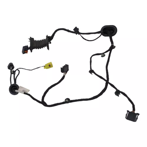 Passat 3C Kabelbaum Tür Türkabelbaum ZV vorne rechts 3C1971121AP (185103)