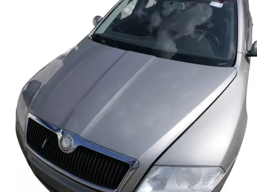 Skoda Octavia 1Z Motorhaube Haube Klappe vorne Cappuccino Beige LF8H mit Grill