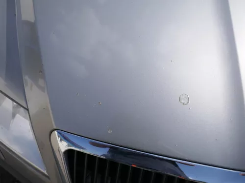 Skoda Octavia 1Z Motorhaube Haube Klappe vorne Cappuccino Beige LF8H mit Grill (185766)