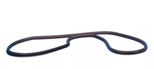 1x Audi A6 4F Türdichtung Dichtung Tür vorne links /rechts Fahrertür 4F0831721G