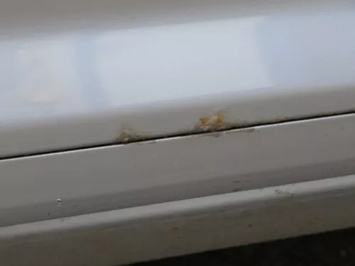 Audi A3 8P 2/3-Türer Tür vorne rechts Beifahrertür Türblatt grau LY7J (187451)