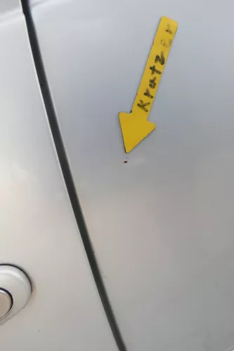 VW Golf 4 Bora Tür hinten links nur Kombi / Variant silber LB7Z - ohne Anbauteil (165290)