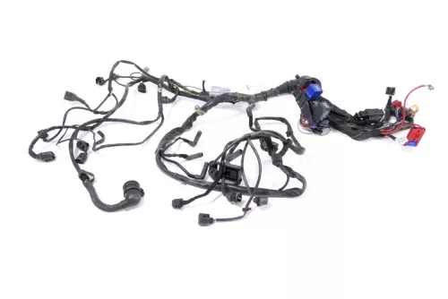 Audi A4 8E B6 Kabelbaum Motor Motorkabelbaum 2,4 Benziner Kabelbaum Automatik