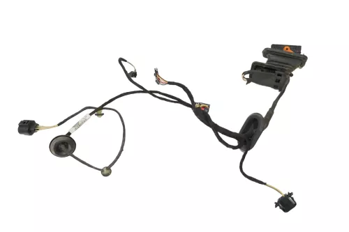 Passat 3C B7 Kabelbaum Tür Türkabelbaum ZV hinte rechts Leitungssatz 3AA971694DJ (200855)