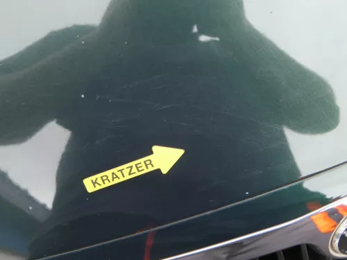 Skoda Fabia 6Y Motorhaube Klappe vorne grün LF8C vorn  (OHNEgrill!) (201599)