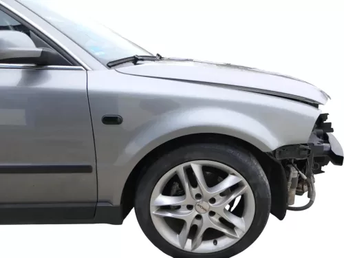 VW Passat 3BG 3B6 Kotflügel vorne rechts grau LD7W (Blinkerloch)